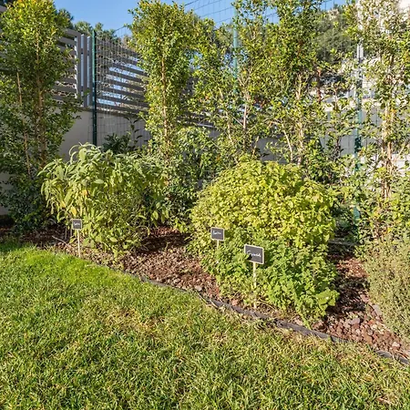 דירה The Tropical Corner By Rentbeat *